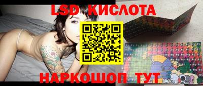 амф Кингисепп