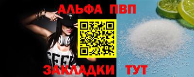 амф Кингисепп