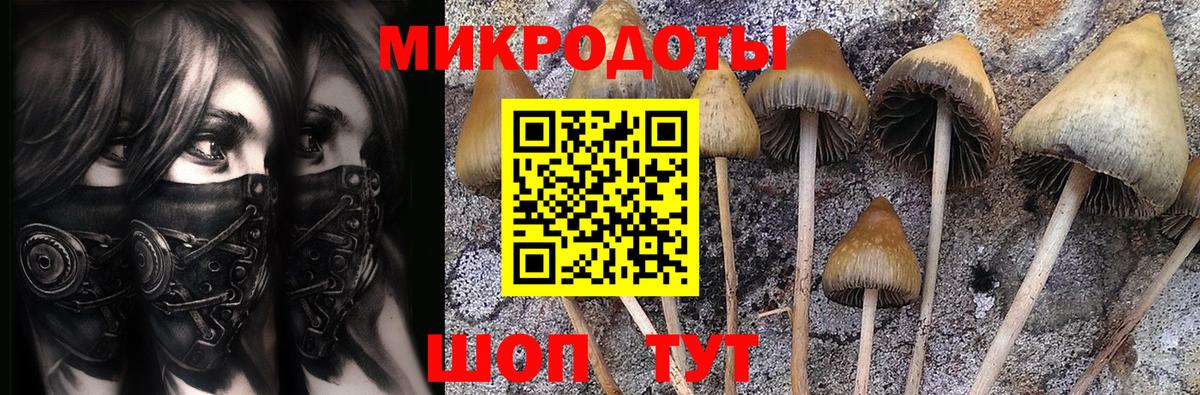 Псилоцибиновые грибы GOLDEN TEACHER  Вход с VPN  Псилоцибиновые грибы Magic Shrooms  Кузнецк 