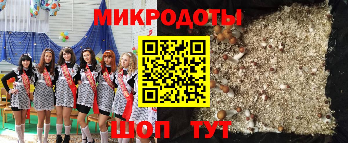 Галлюциногенные грибы Magic Shrooms Кузнецк